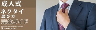 成人式のネクタイのすべて